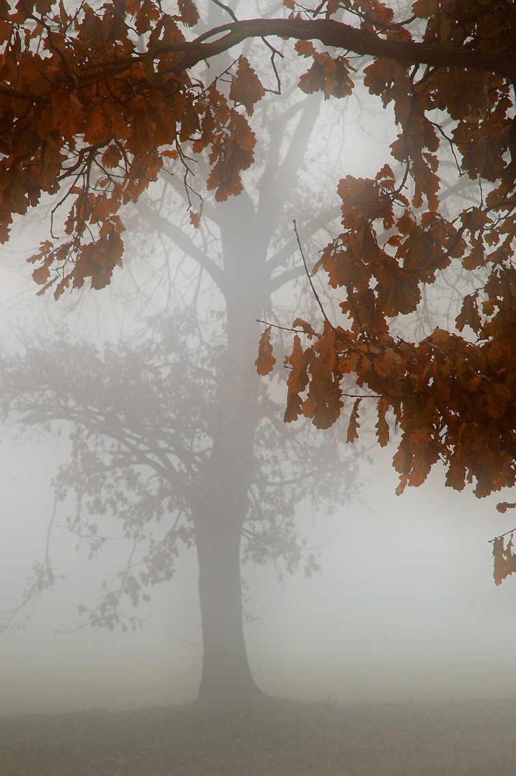 autunno in Pianura Padana