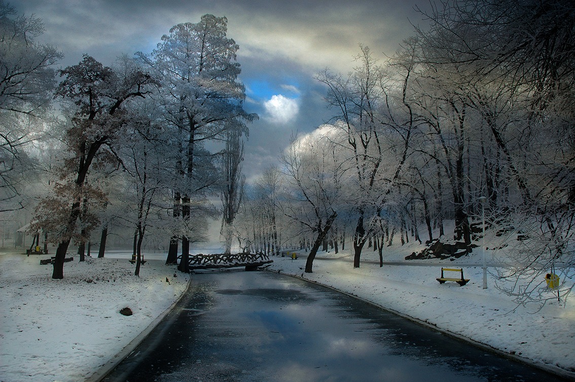 Park Romanescu Craiova (Romania)