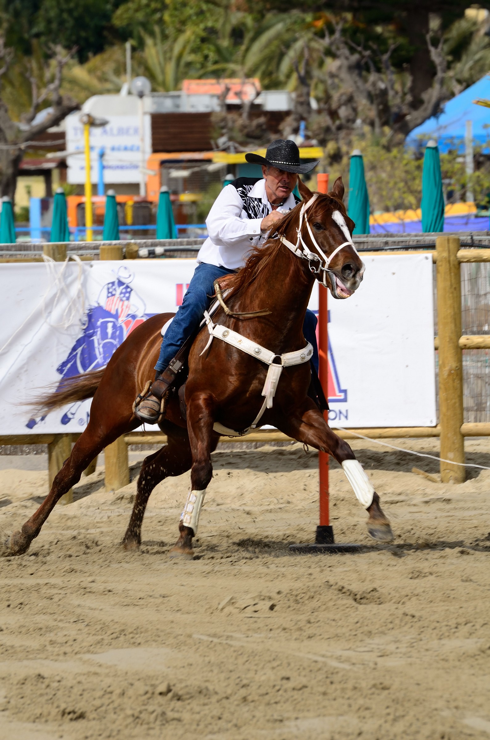 Barrel on the beach 2