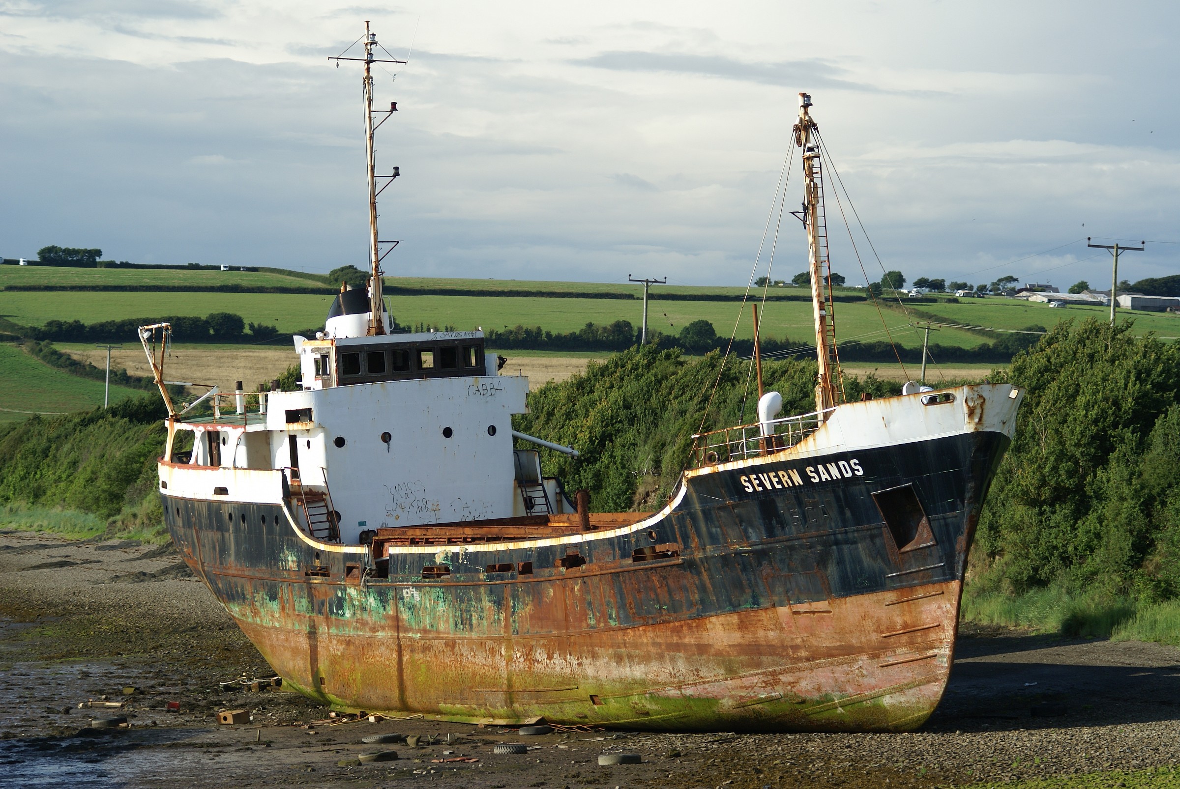 Old Abandoned Coaster