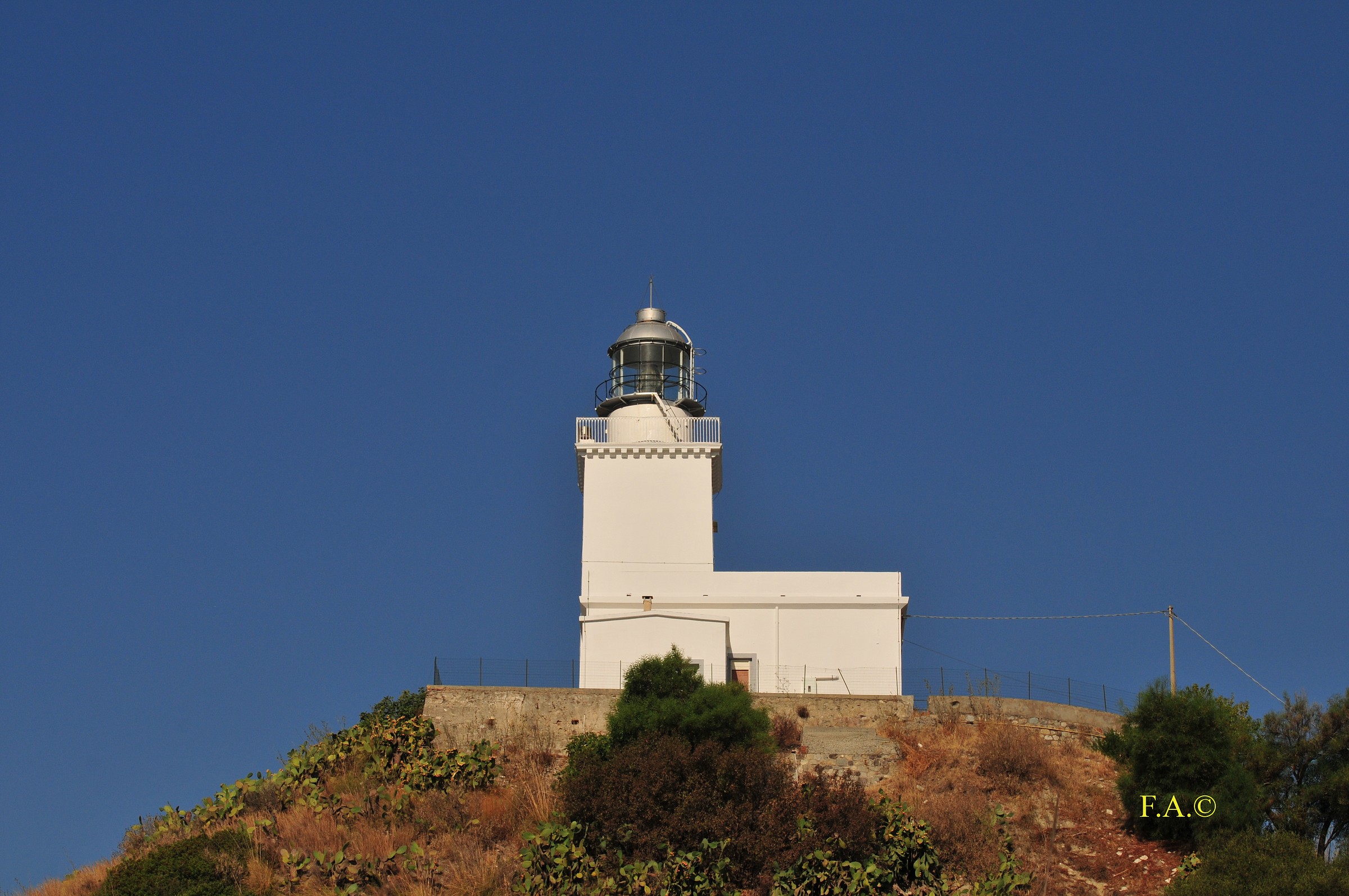 Faro