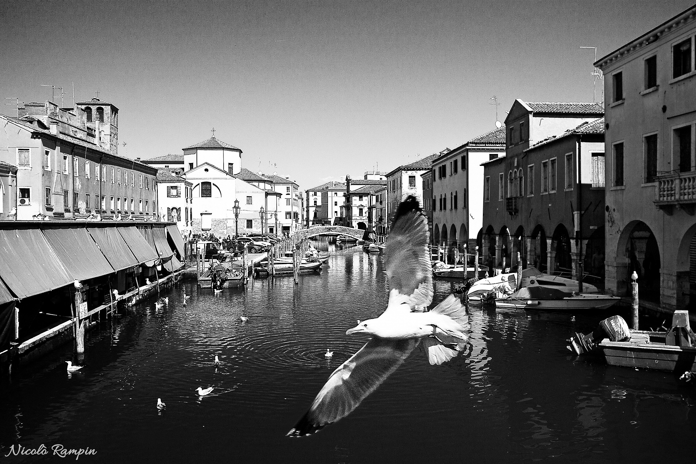 In volo sopra Chioggia