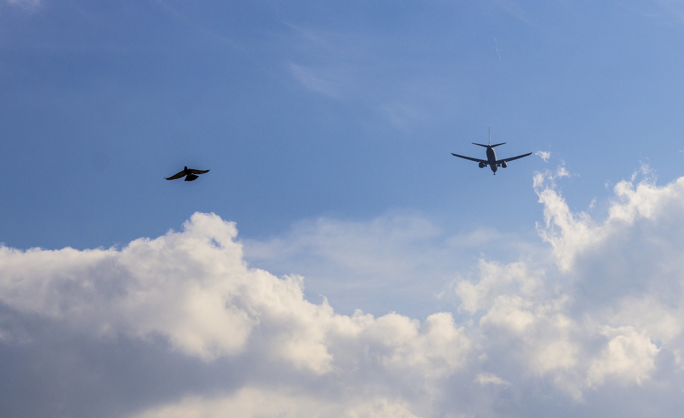 Parco degli Acquedotti 4