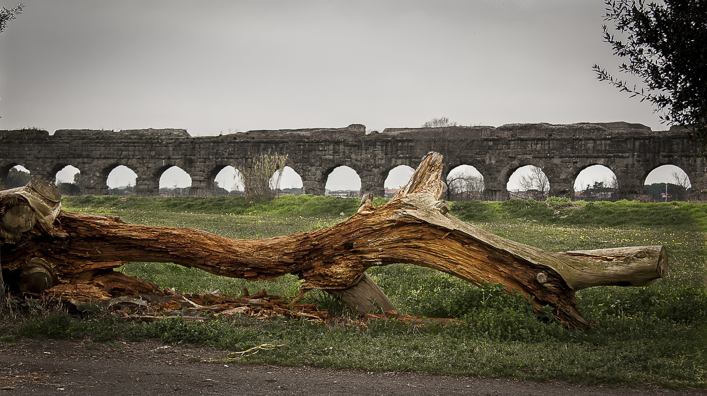 Aqueduct Park - Rome