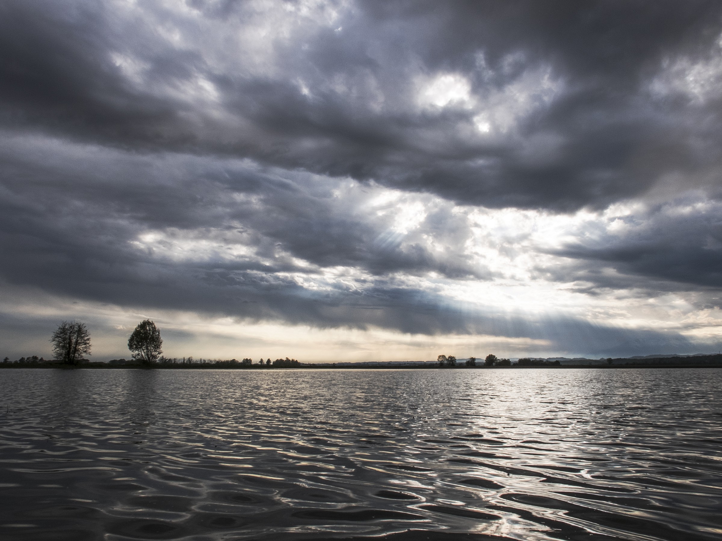 Rice fields at Vettignè