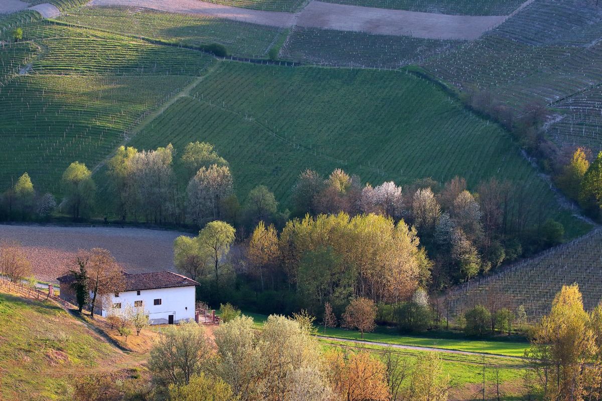 Paesaggio del monferrato