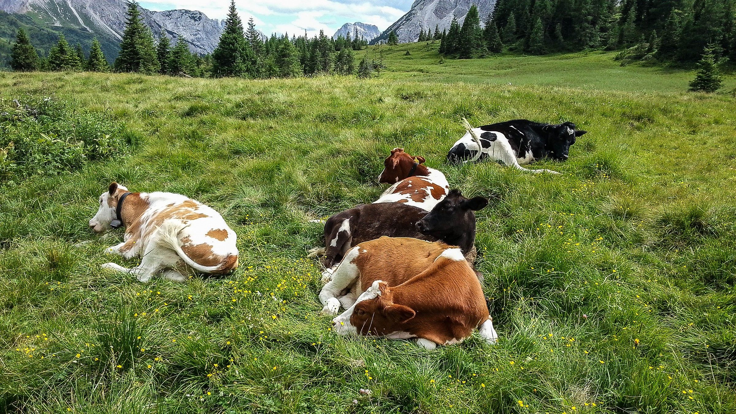 Le Dolomiti - Sappada