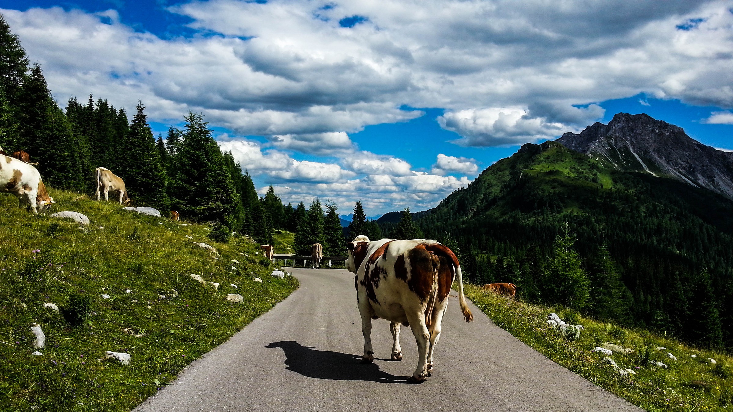The Dolomites - Sappada