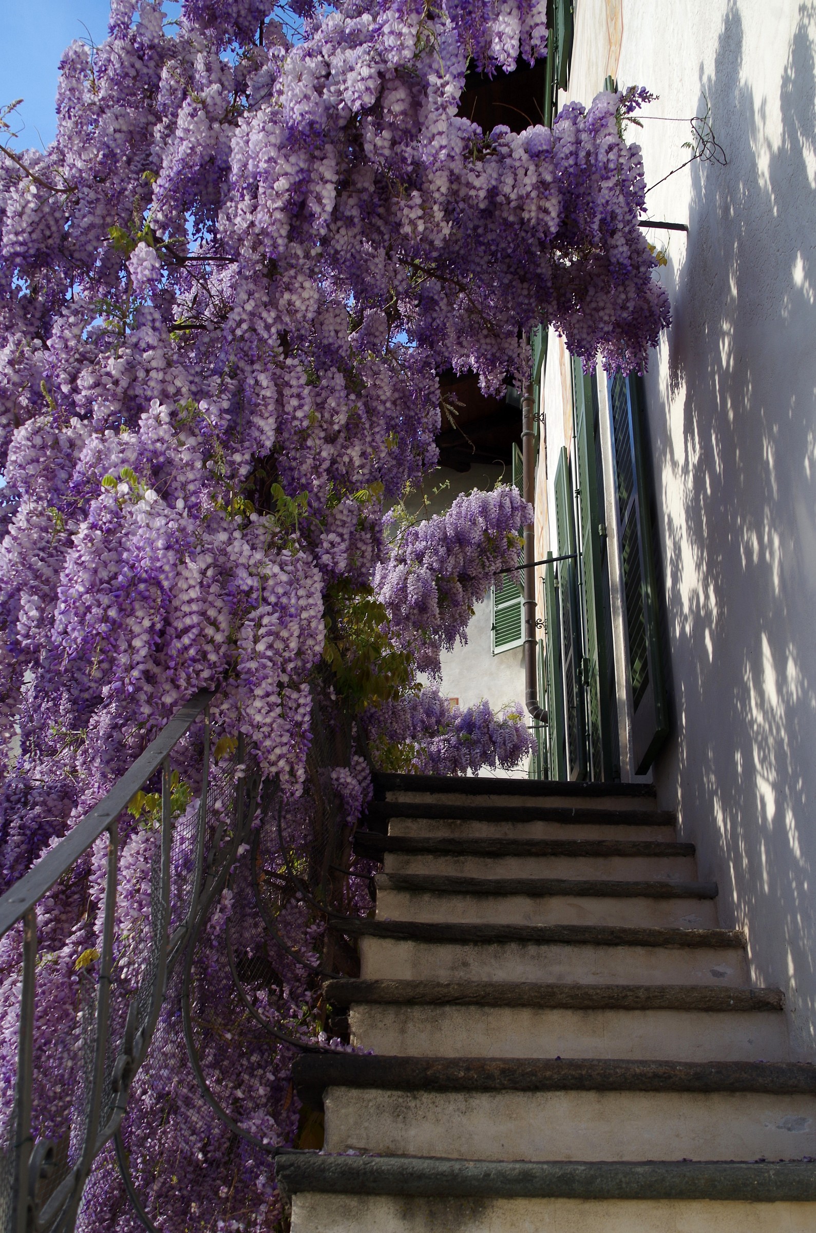 gli scalini del profumo