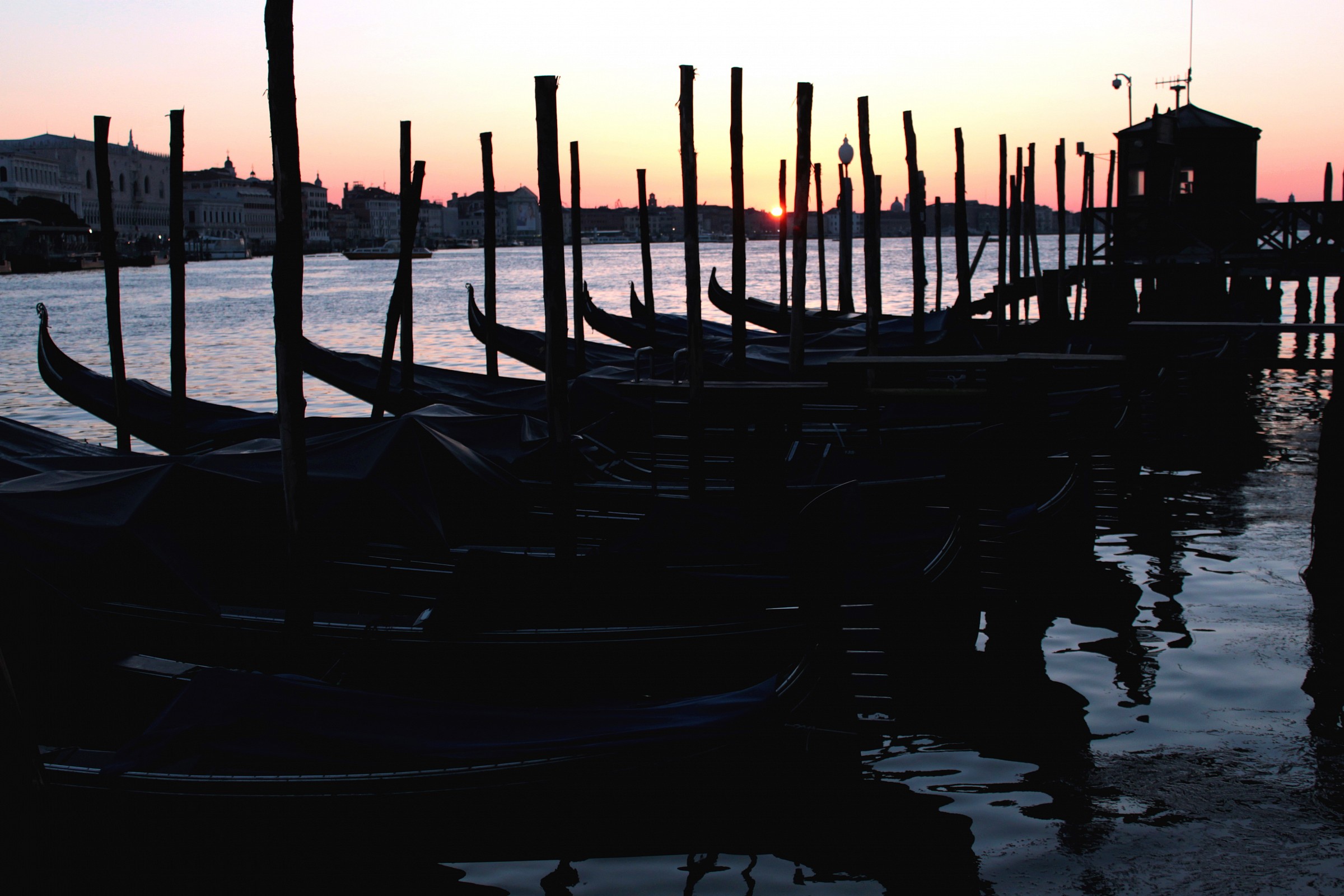 Capolino sopra le gondole