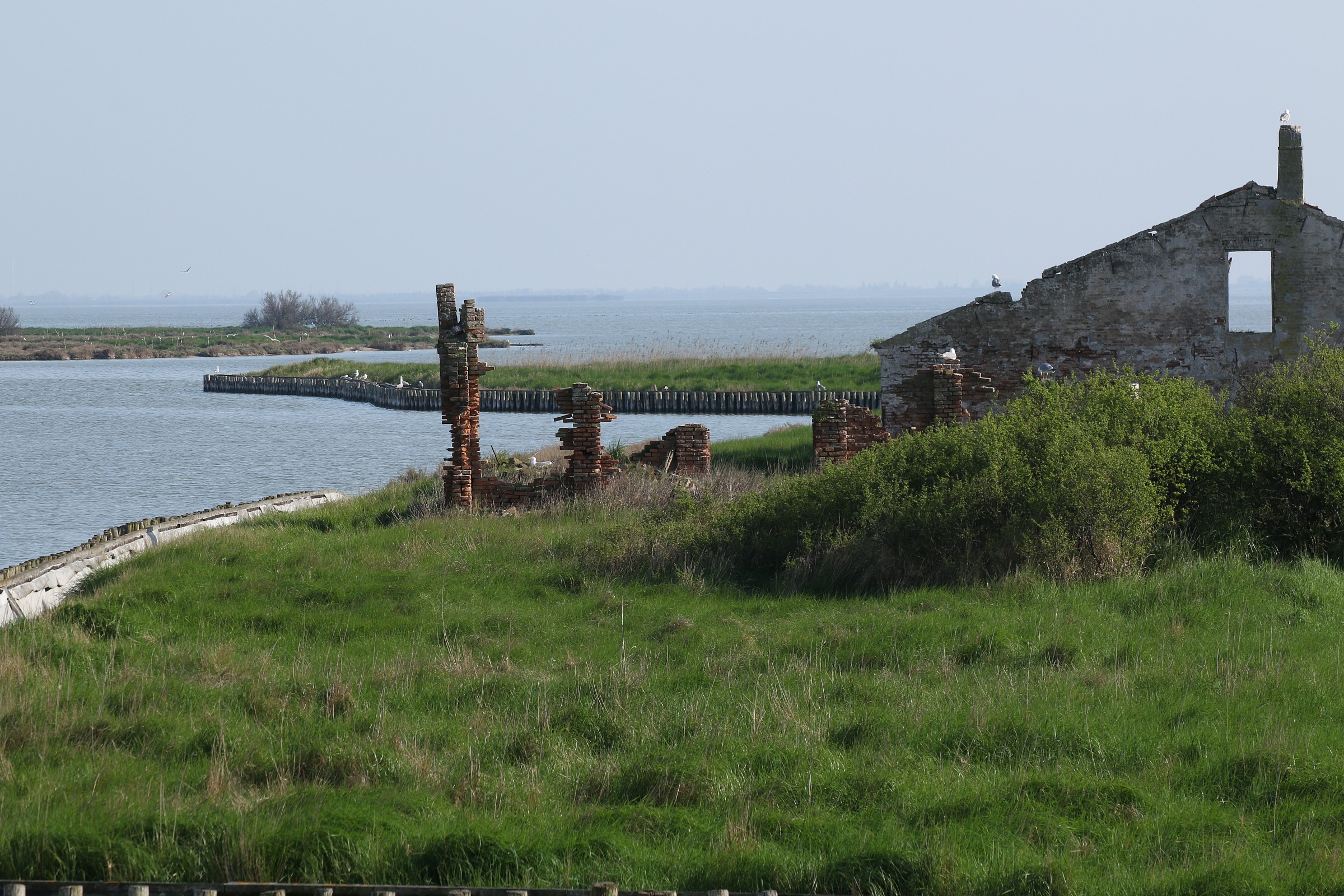 Lagoon of Comacchio