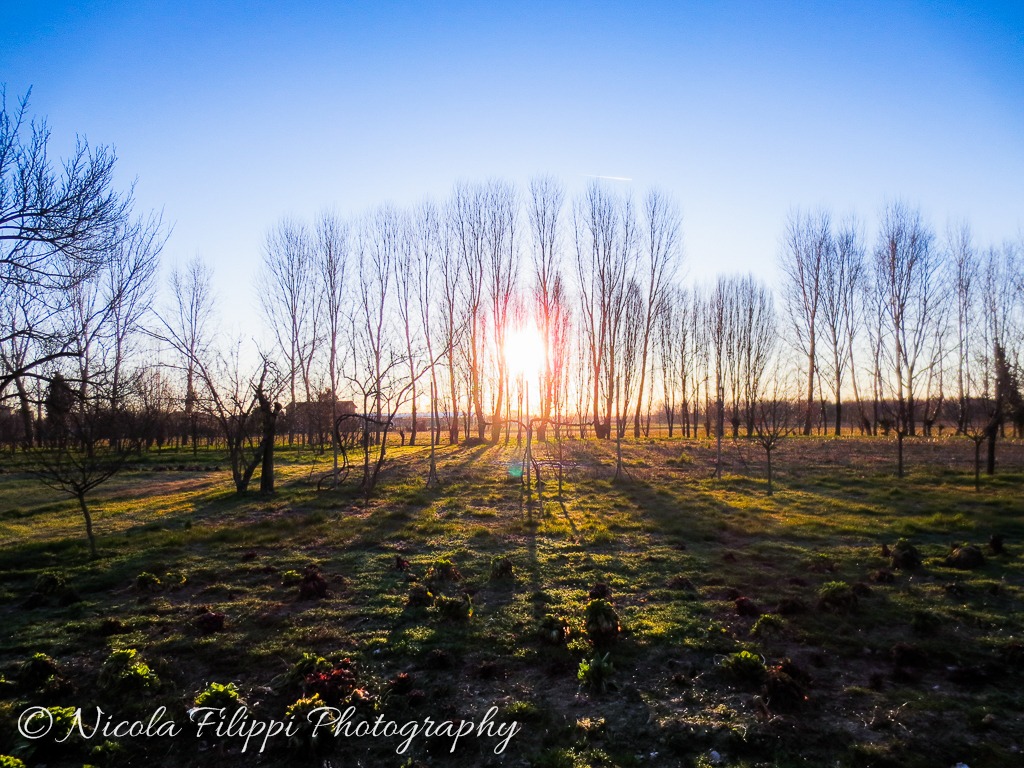 Sunrise behind the house