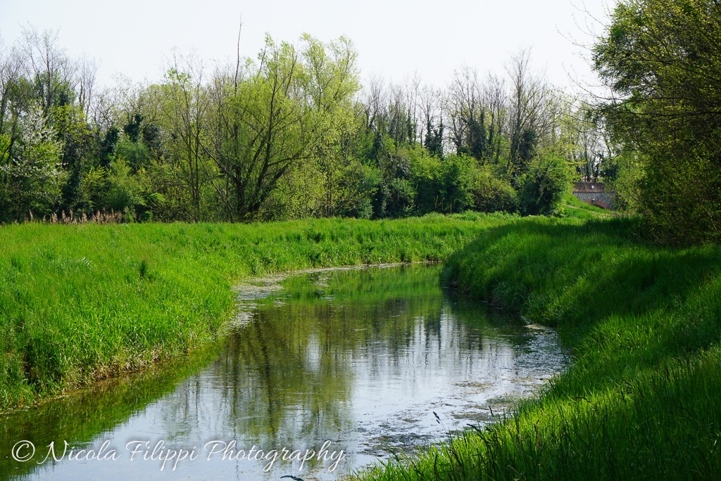 Anse del fiume Muson