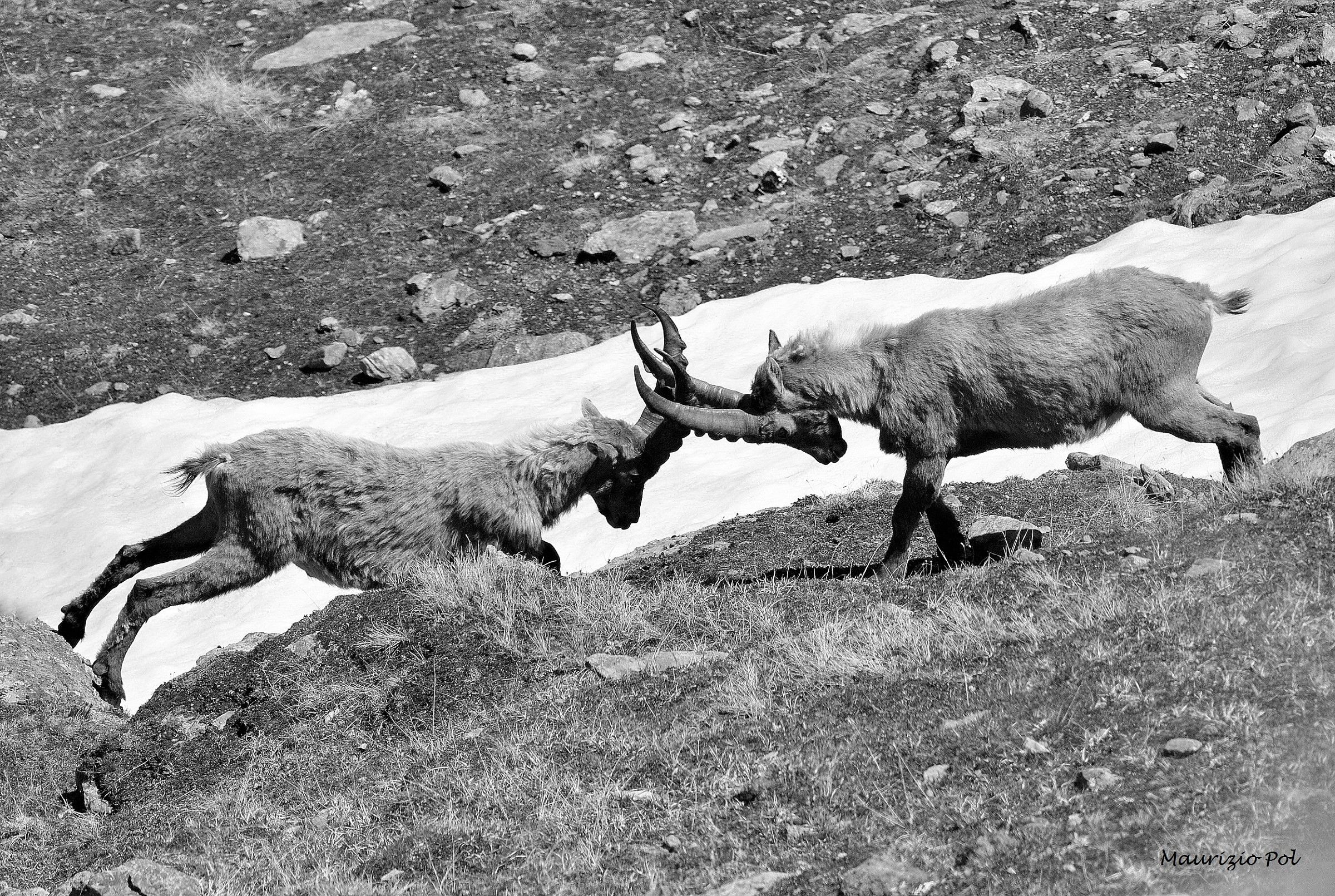 struggle "training" among young