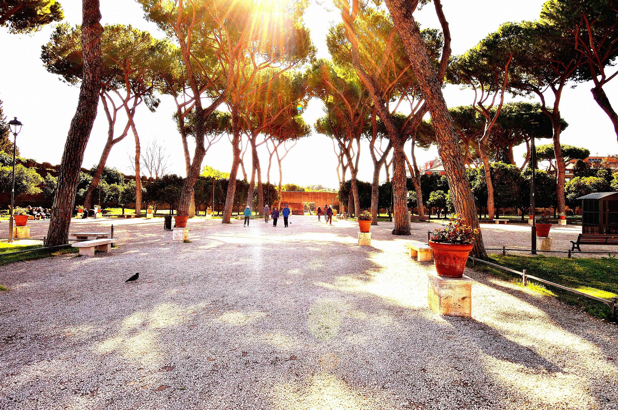 passeggiata all'Aventino