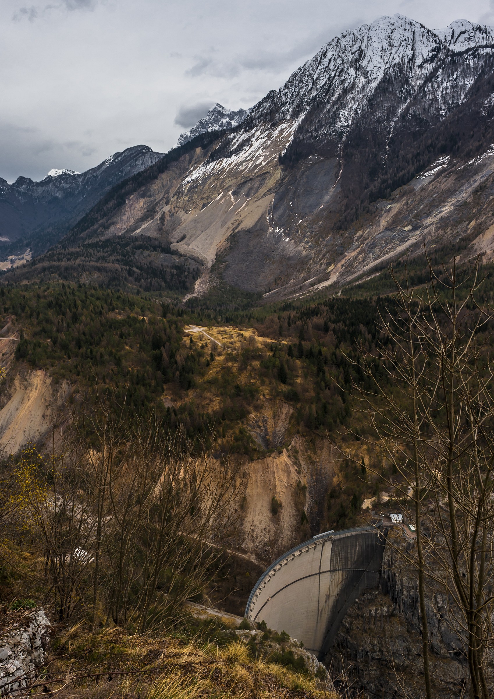 Protagonists of Tragedy .......