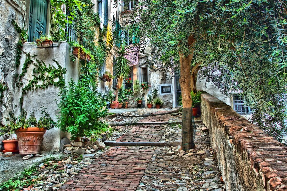 un po di verde nel centro storico di Genova