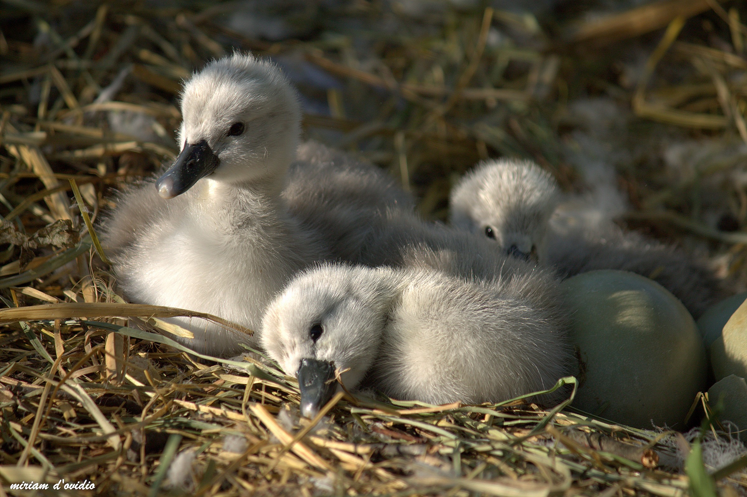 nel mondo da due ore