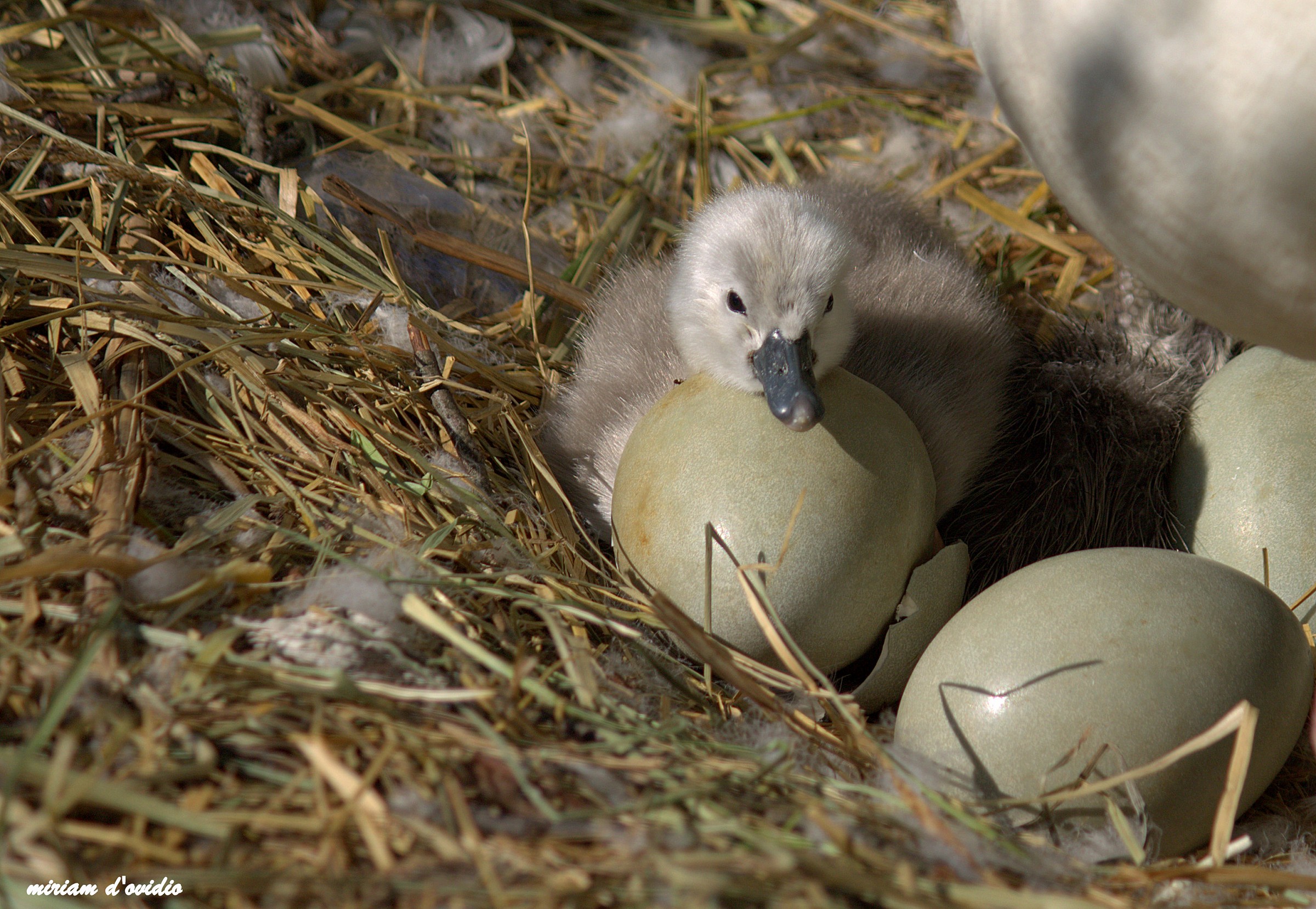 anche io ero qua dentro
