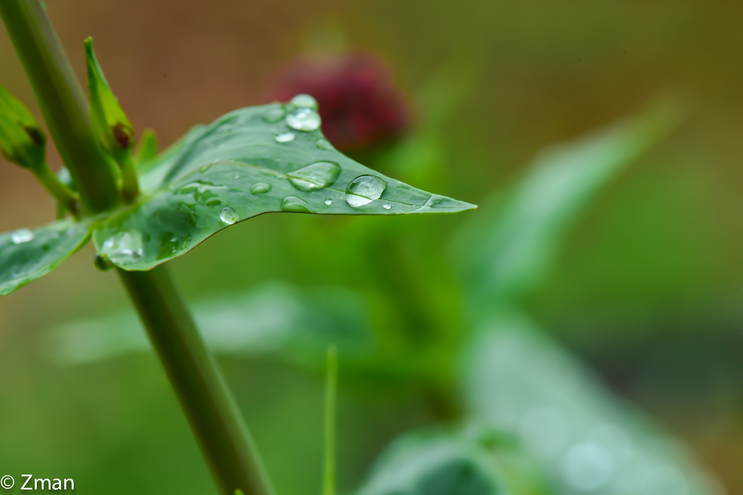 The Rain Has stopped