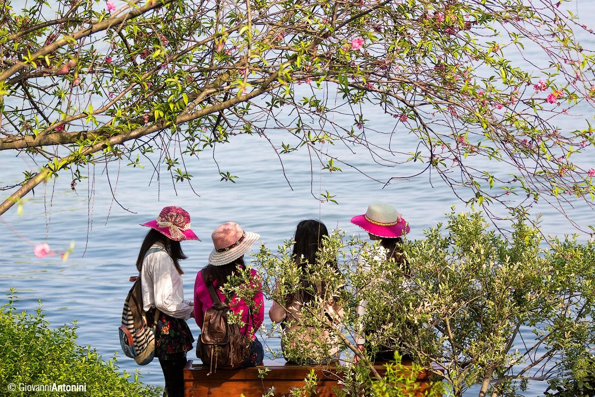 Primavera ad Hangzhou, Cina