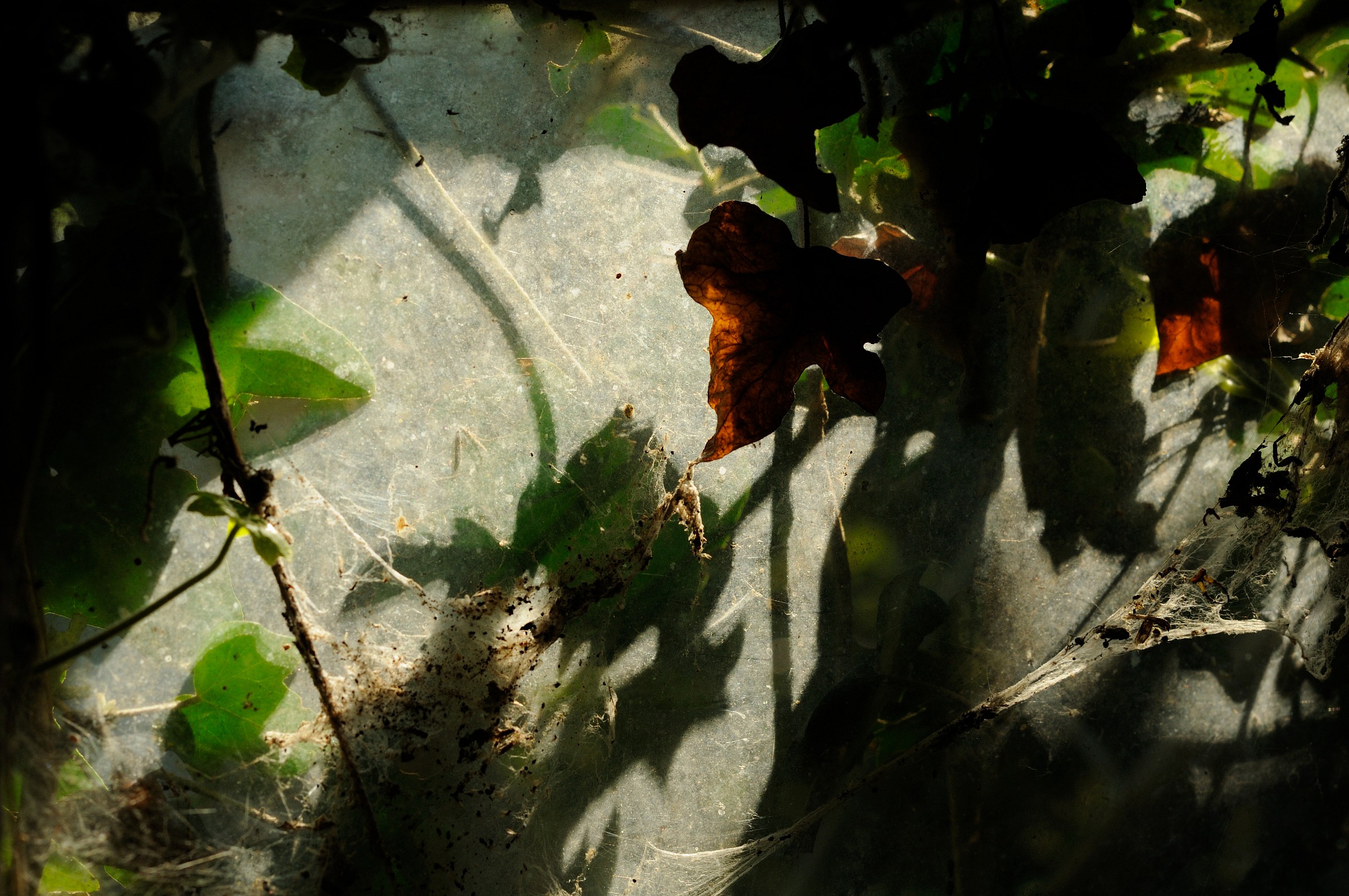 Opposti, luci, ombre, rifessioni...