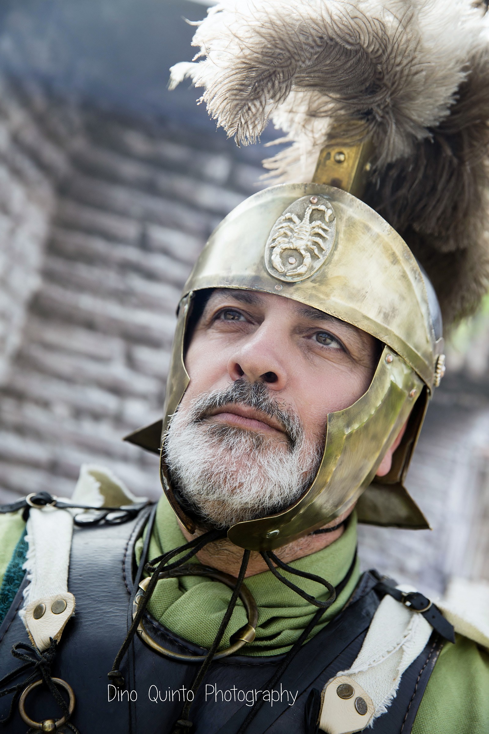 Pretoriano -  Natale  di  Roma  2015