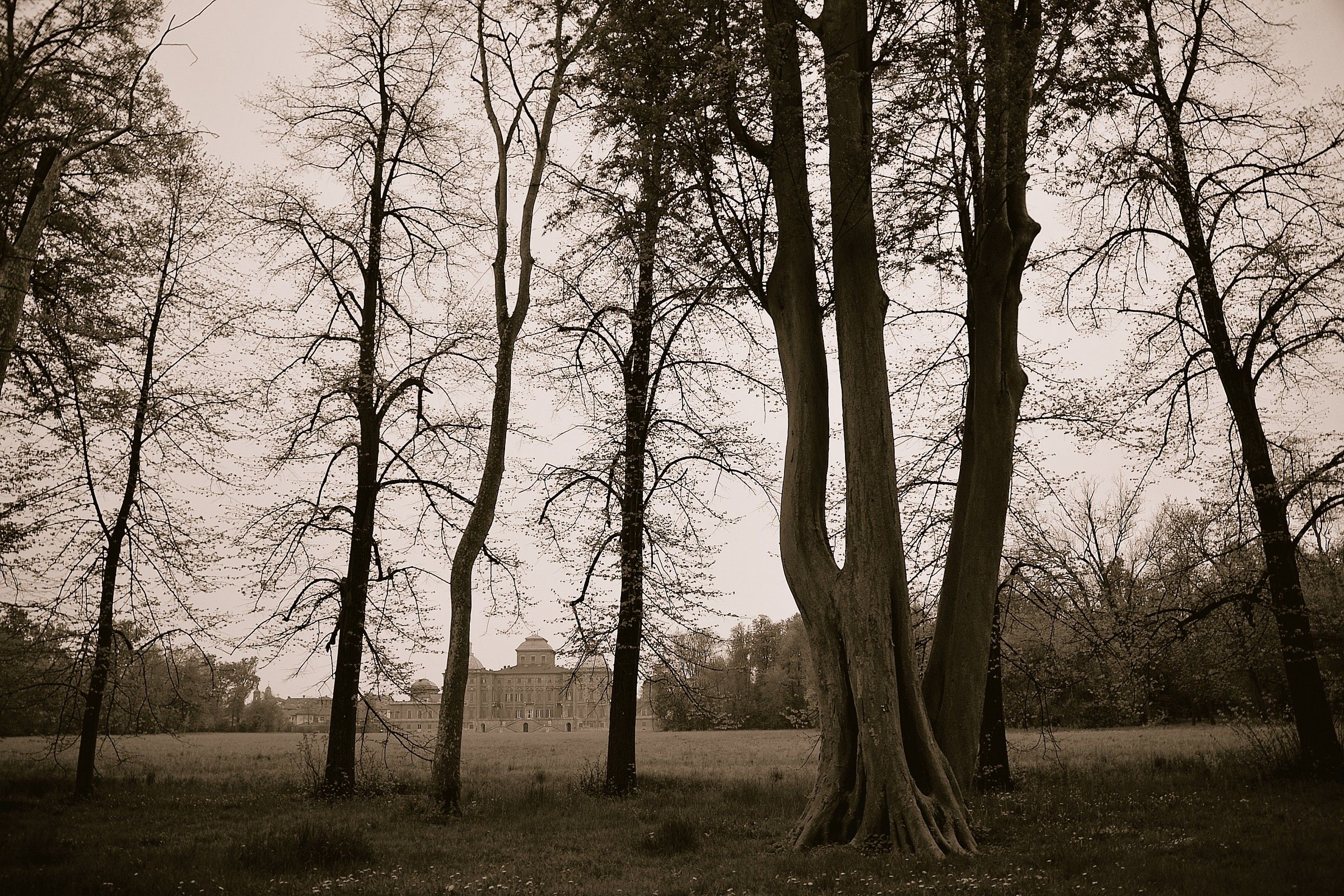 Racconigi: the castle
