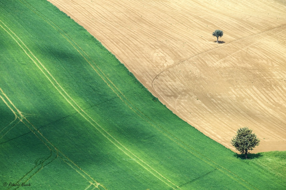 geometrie di campagna