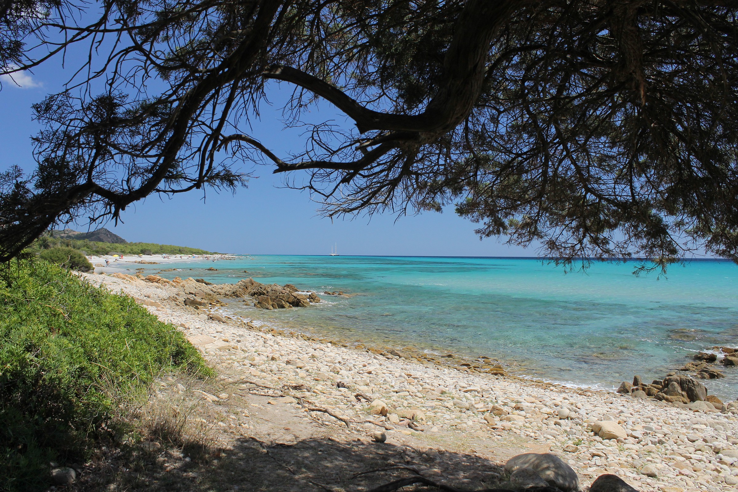 The colors of Sardinia