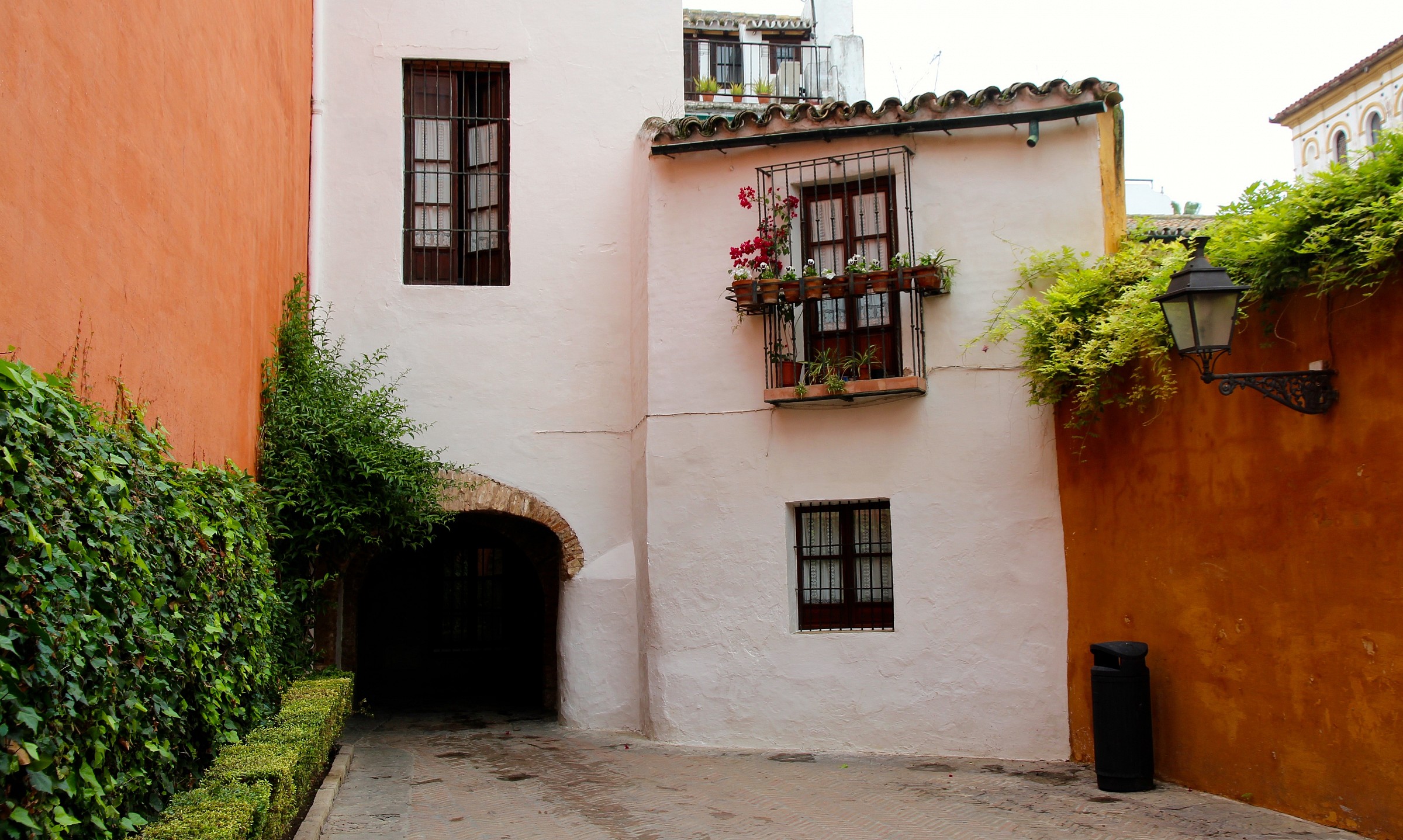 barium de santa cruz