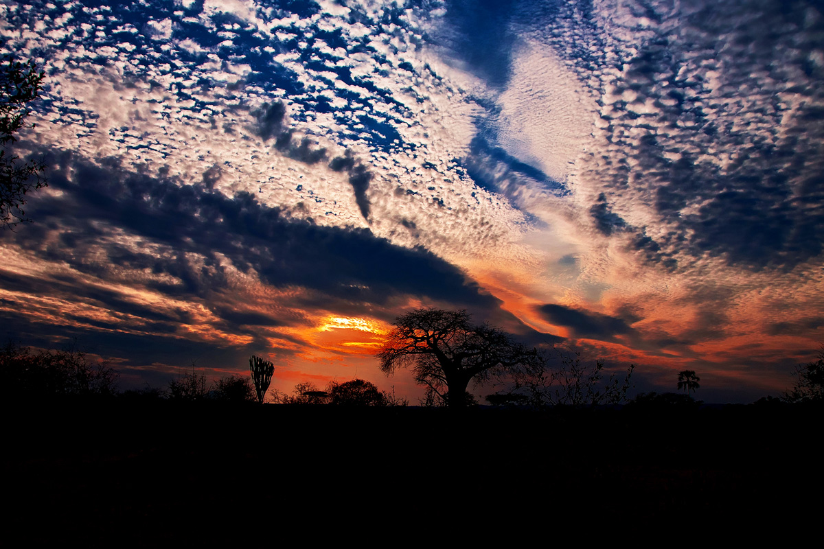 Tramonto nella Savana-2