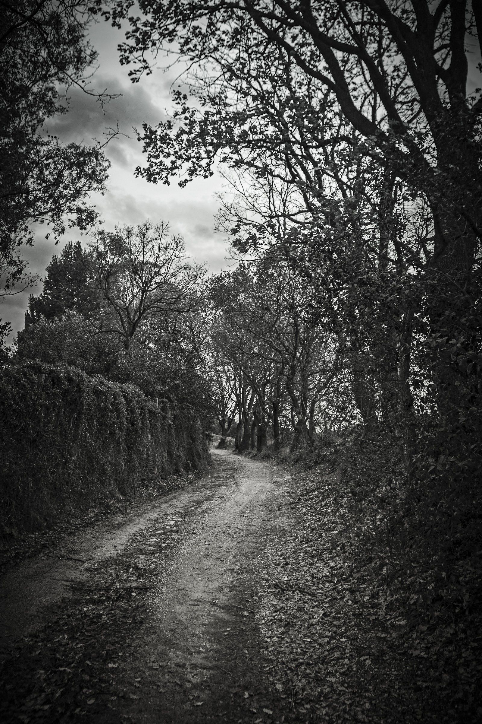 Nel mezzo del cammin di nostra vita mi ritrovai .....!!