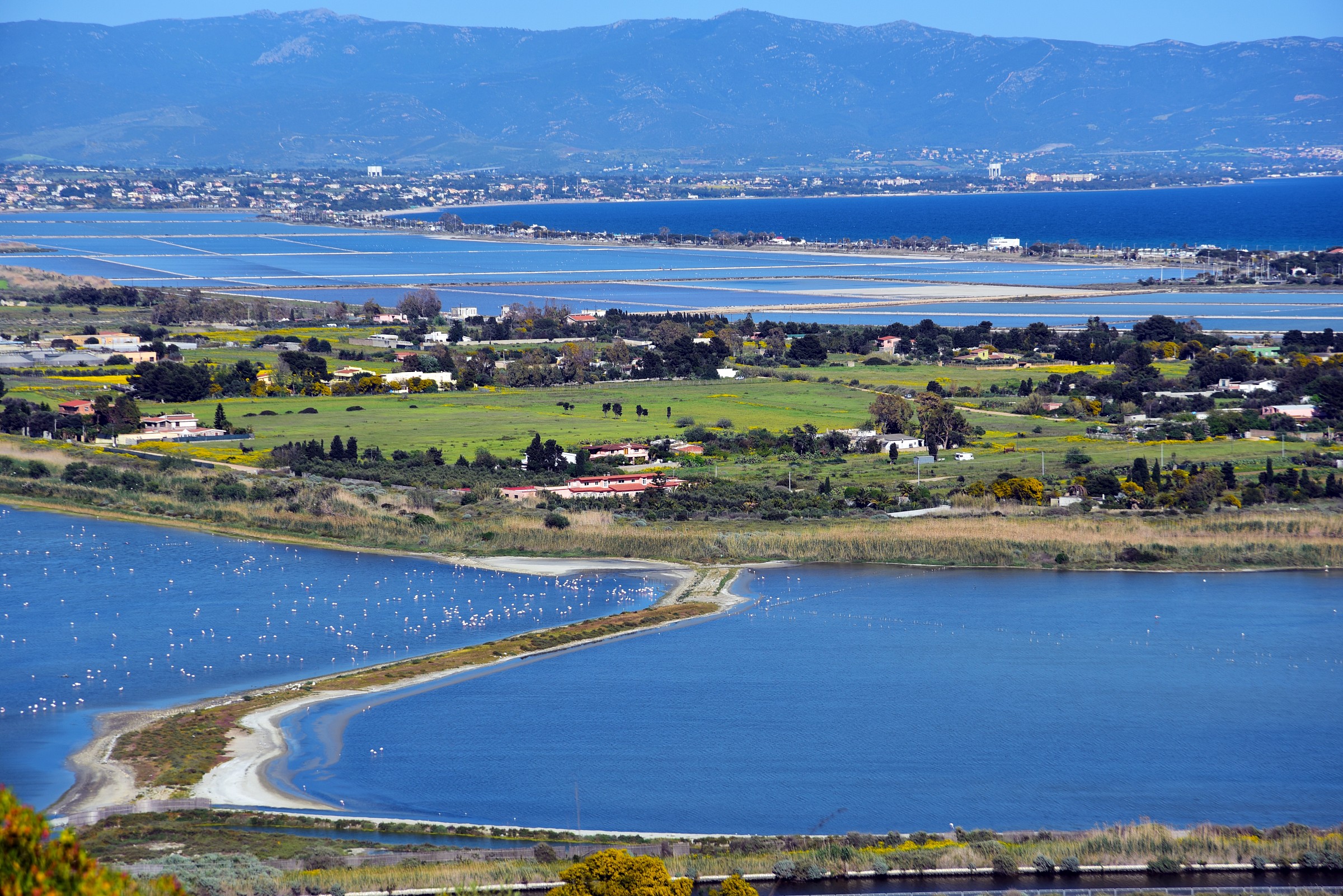 Le saline e i Fenicotteri