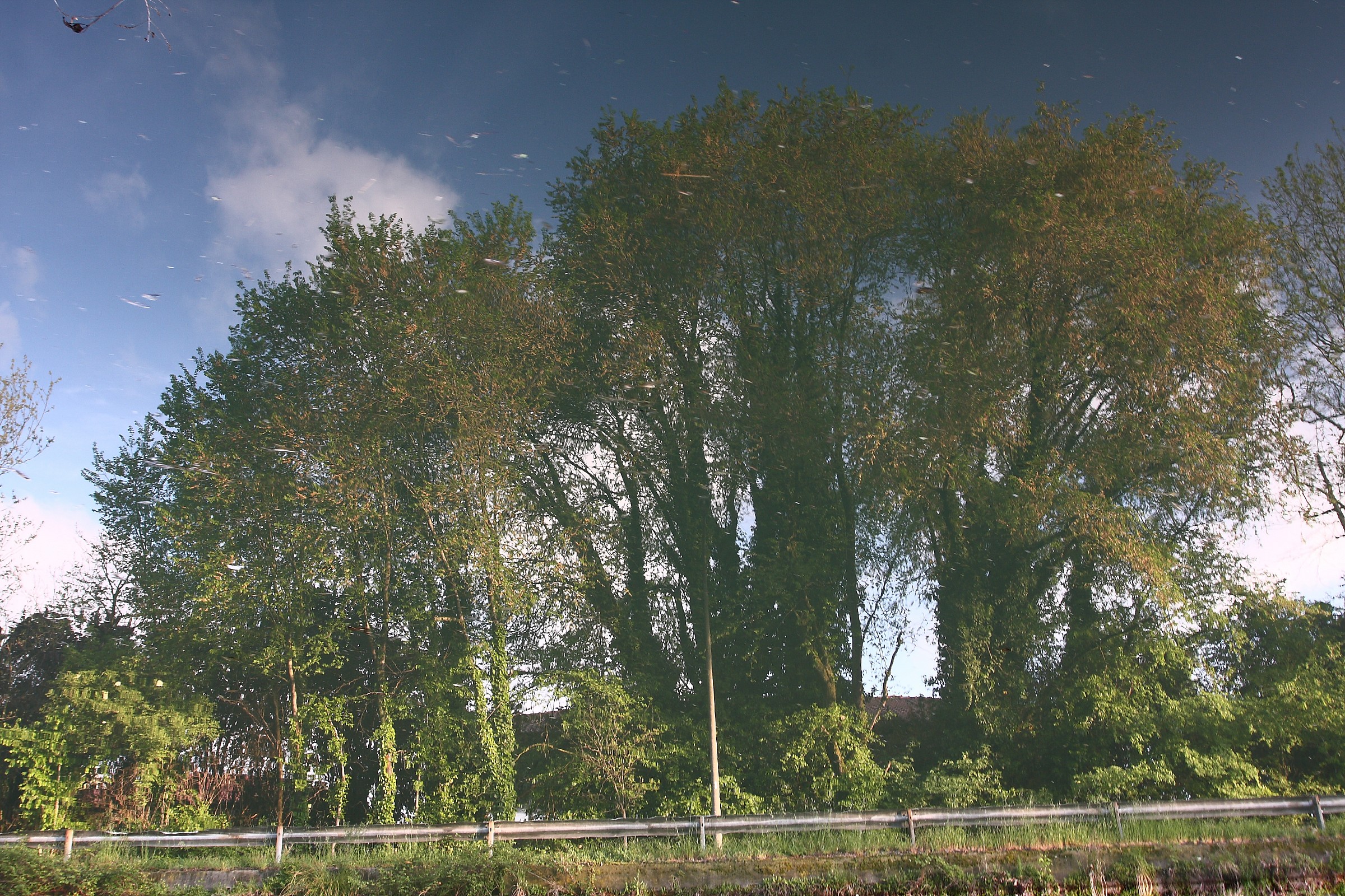 Urban mirages: smooth mirror 1