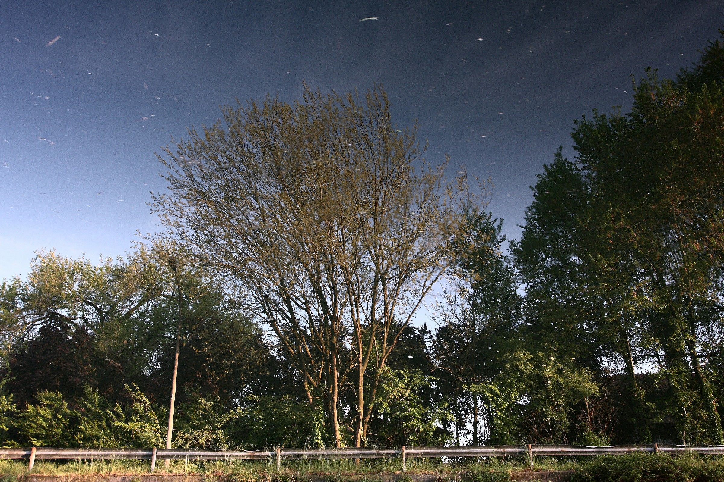 Urban mirages: smooth mirror 2