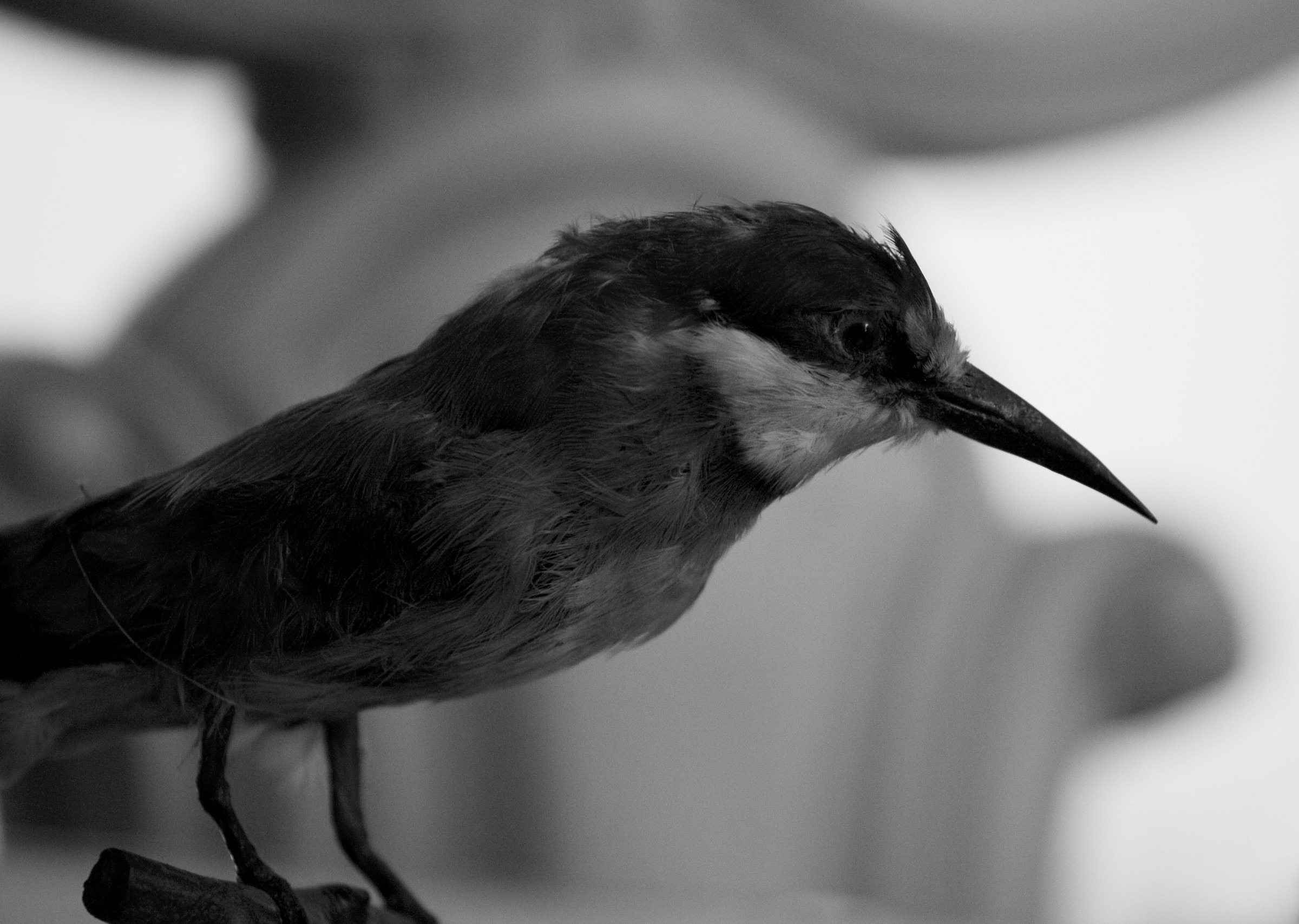 It seems almost real ..