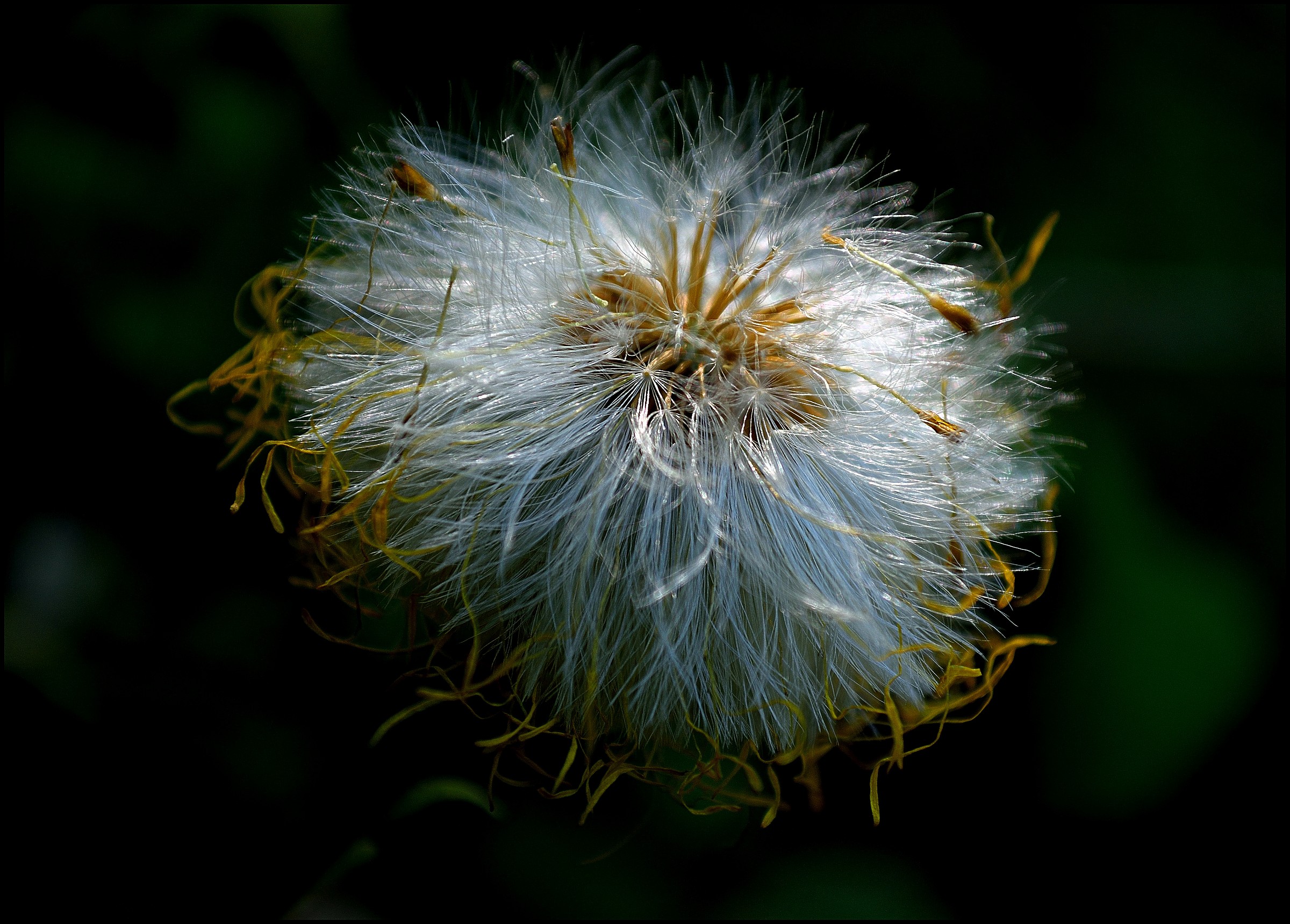 alla luce di un soffione