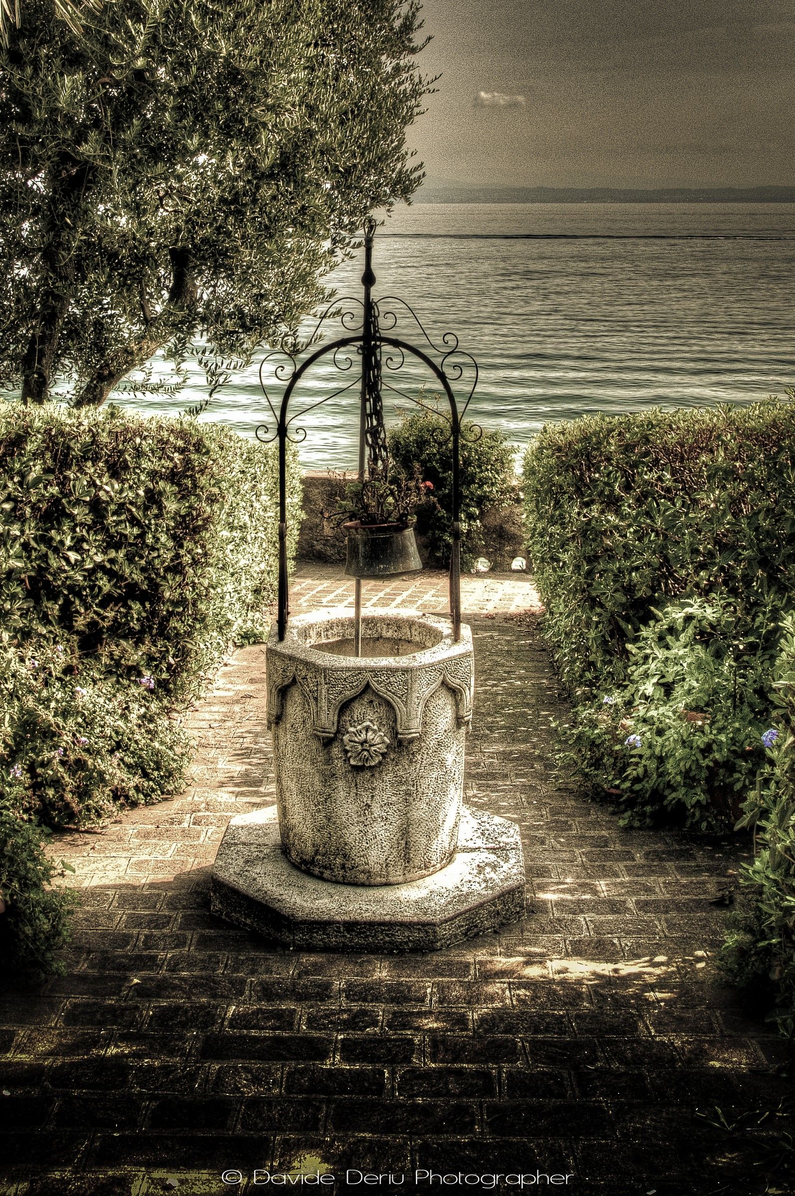 The wishing well