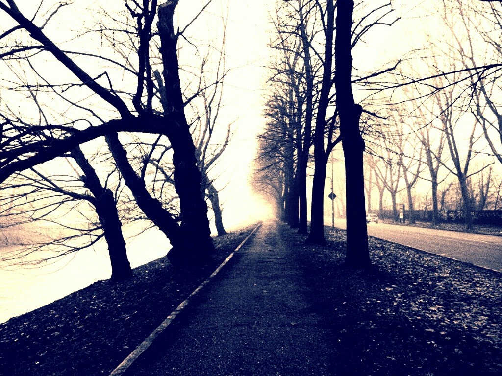 Avenues, canals, landscapes trivial 2