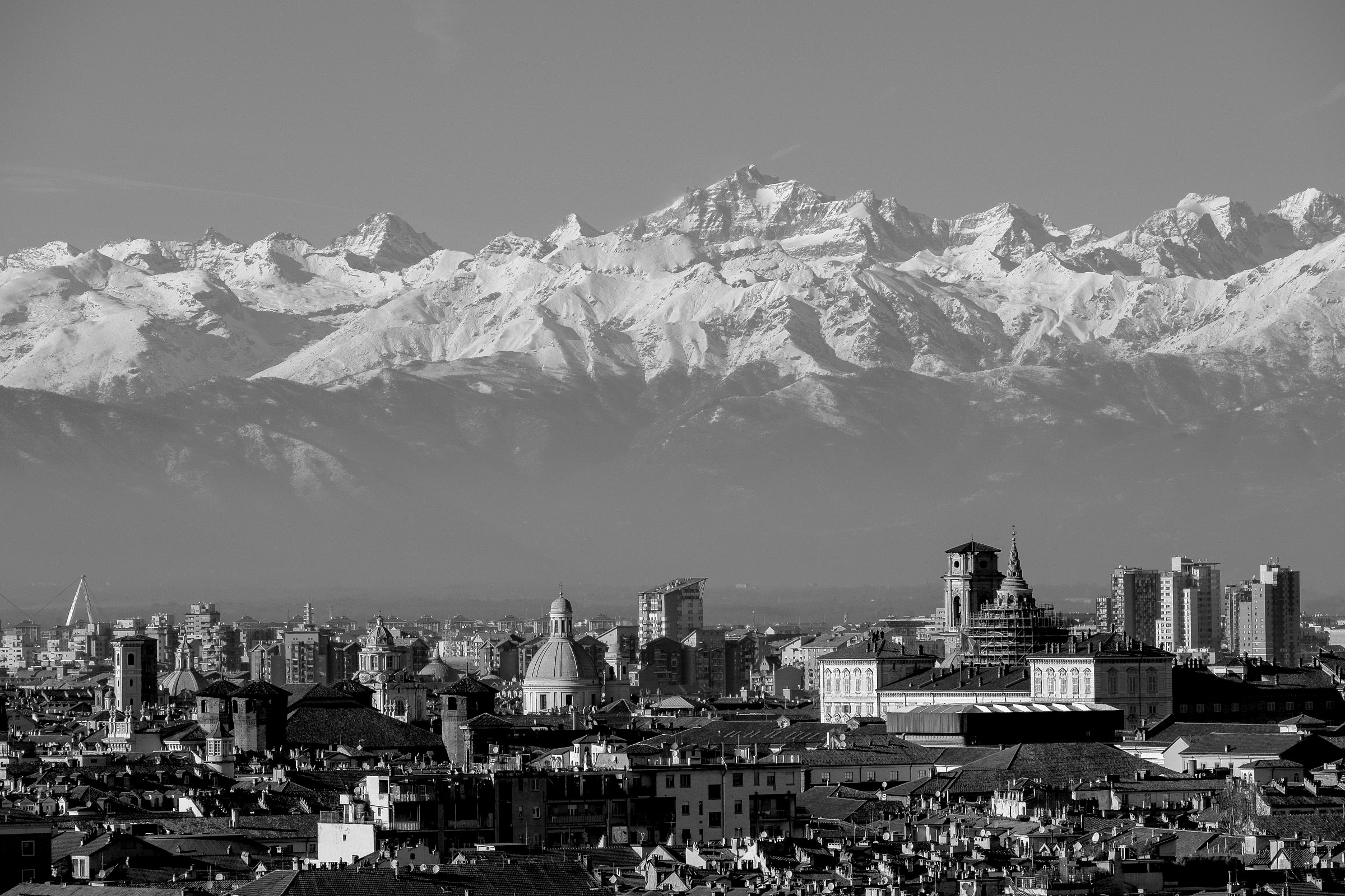 torino compressa...................