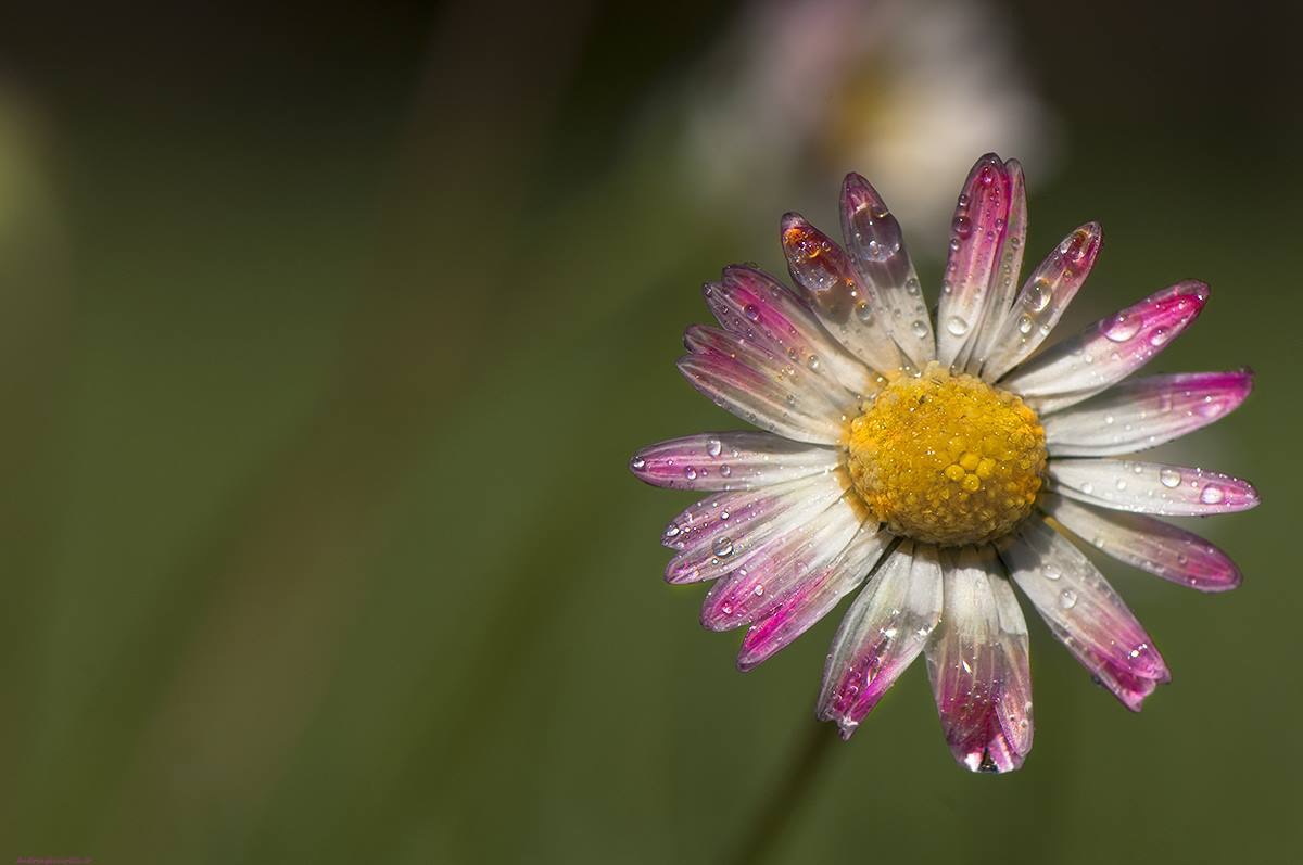 Ssimplicity is the best thing