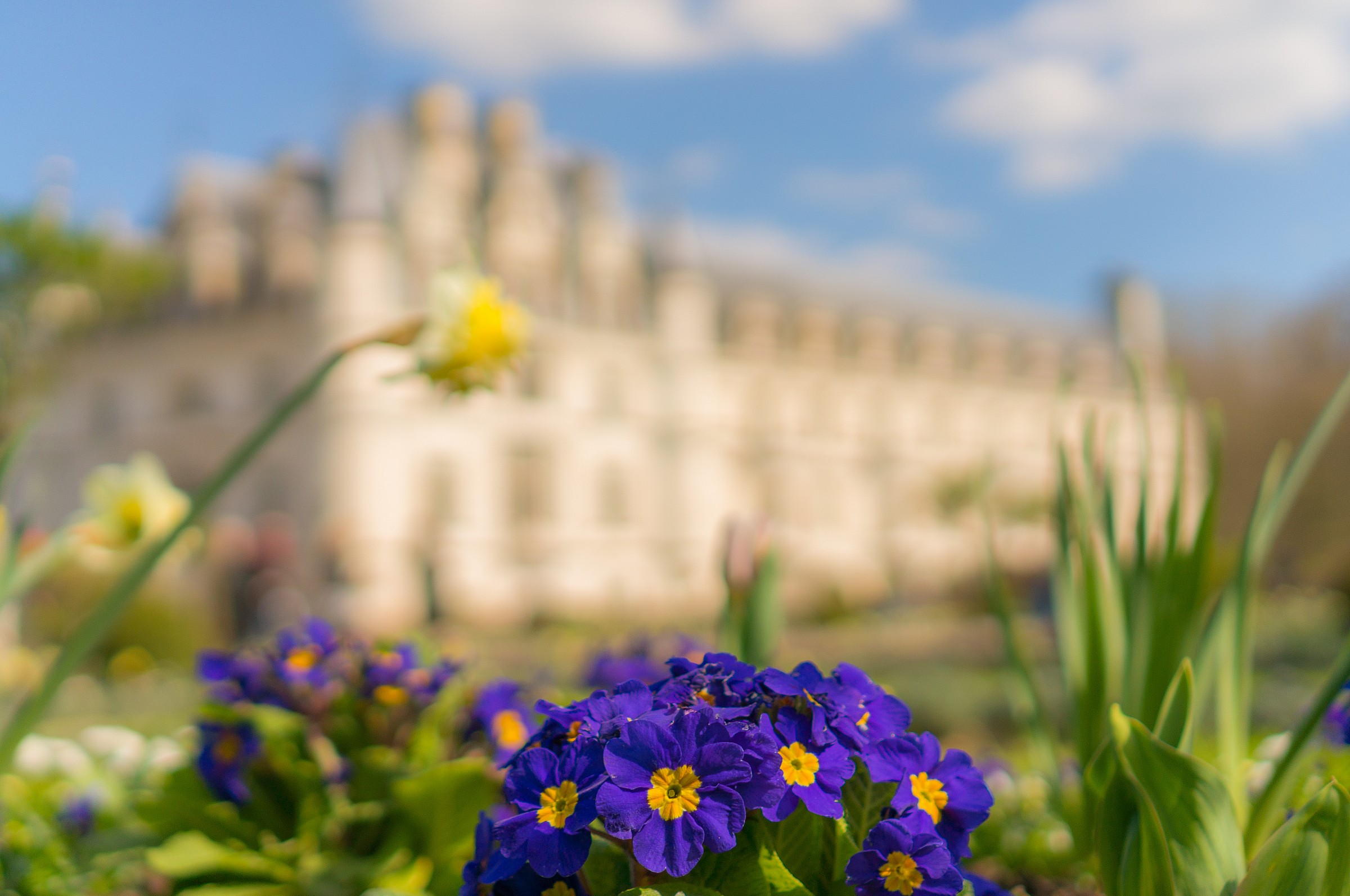 Chenonceau