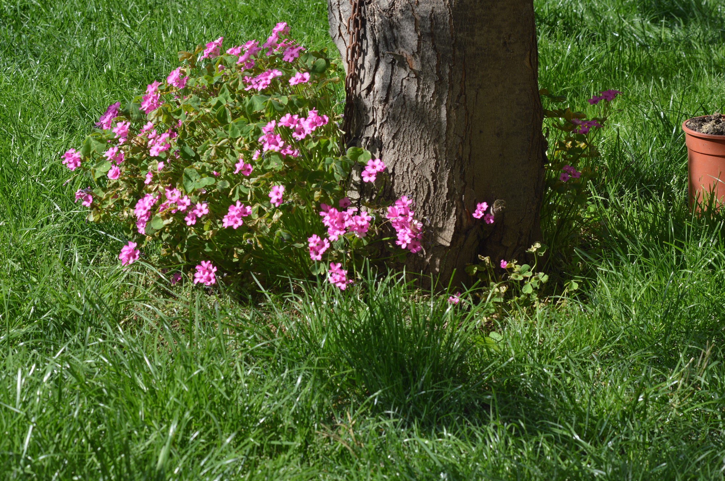 test 100mm series E - f11 1/100