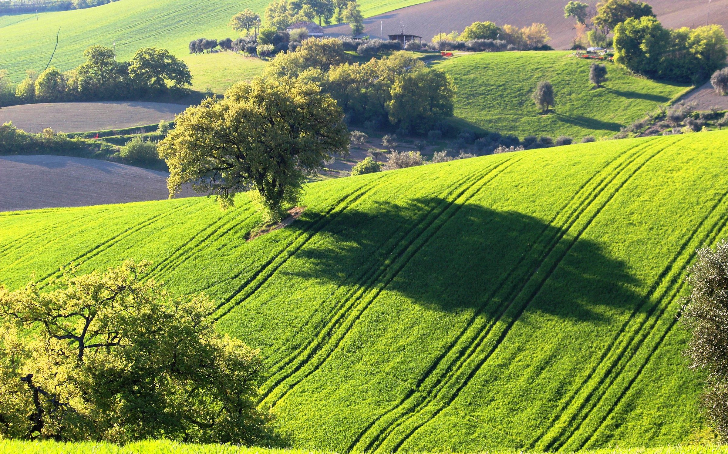 Green Hills Maceratesi