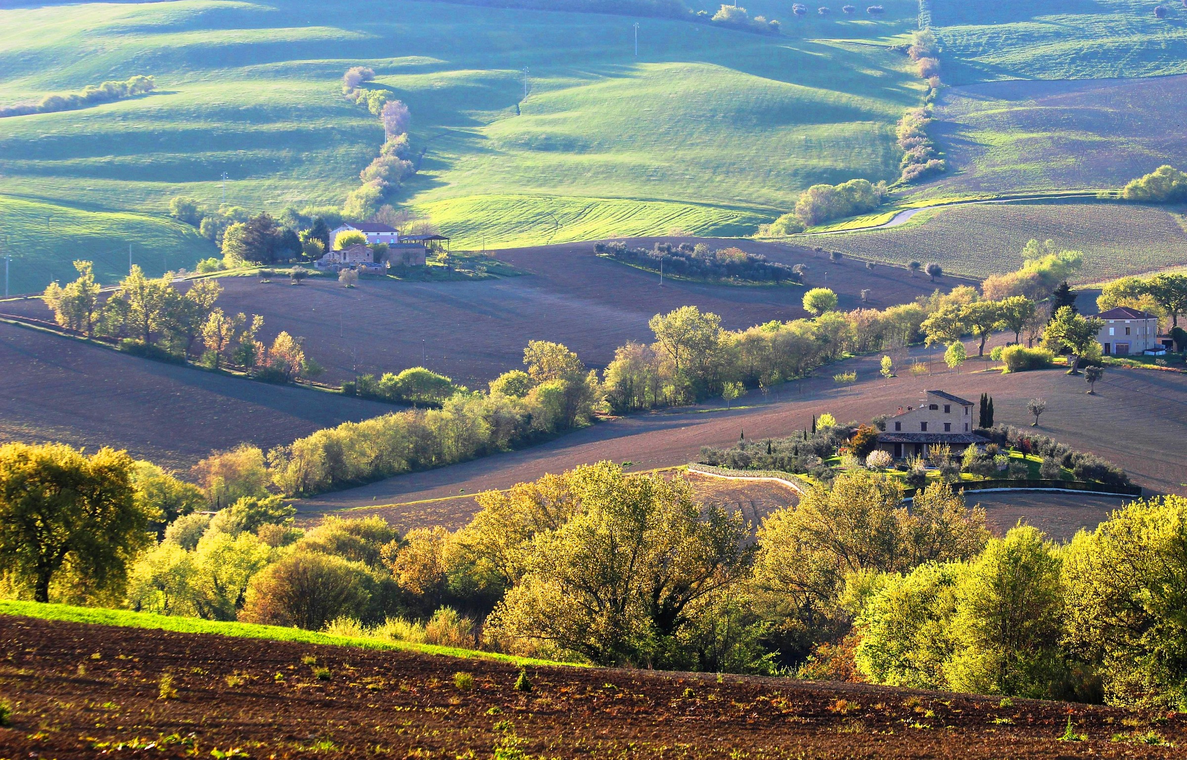 Paesaggio pomeridiano - Colline Maceratesi