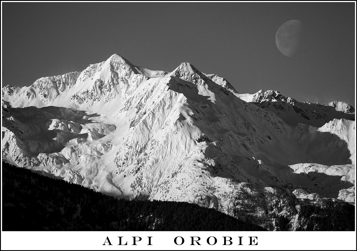 Orobie black and white