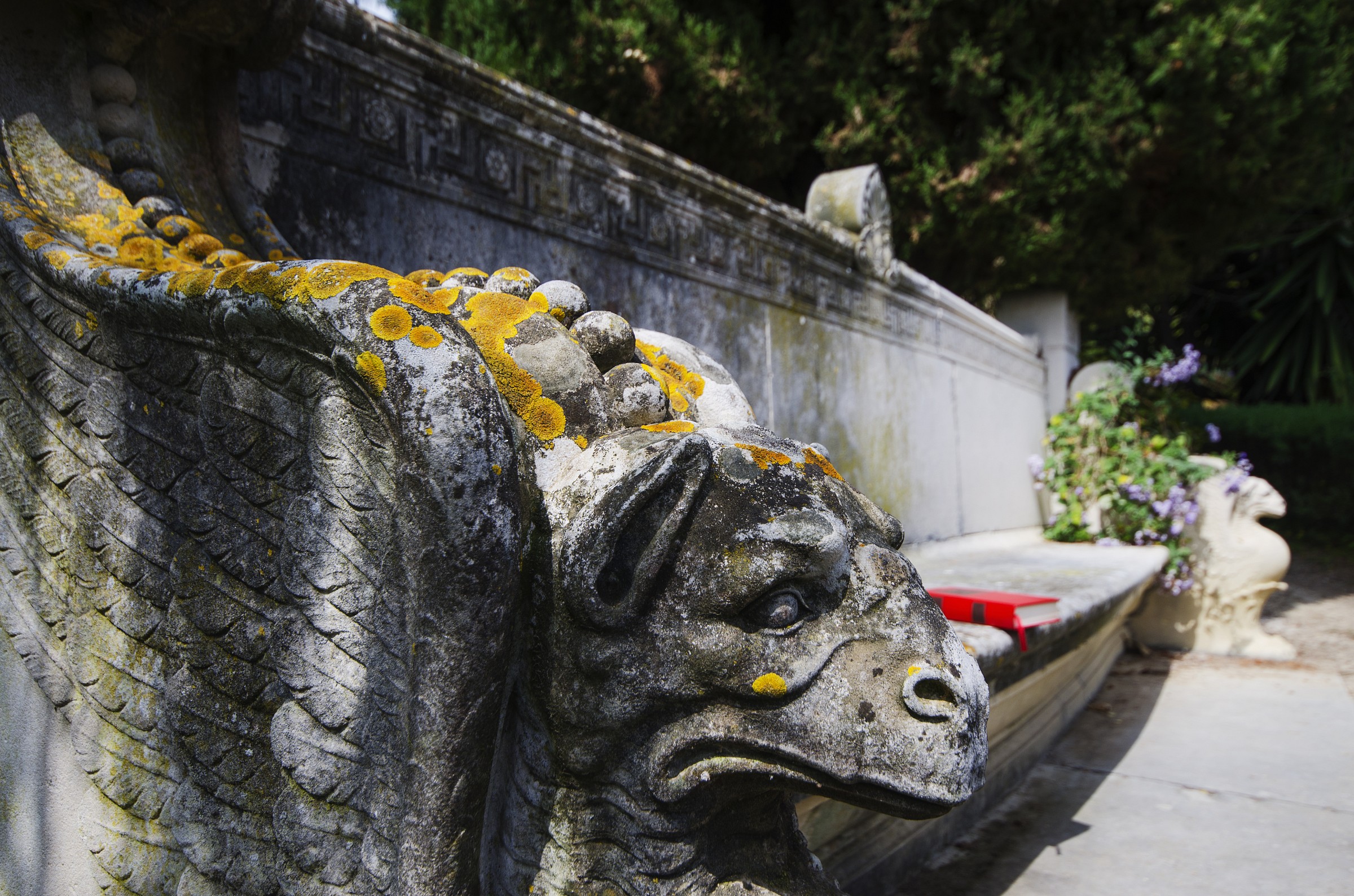 The Mysterious bench