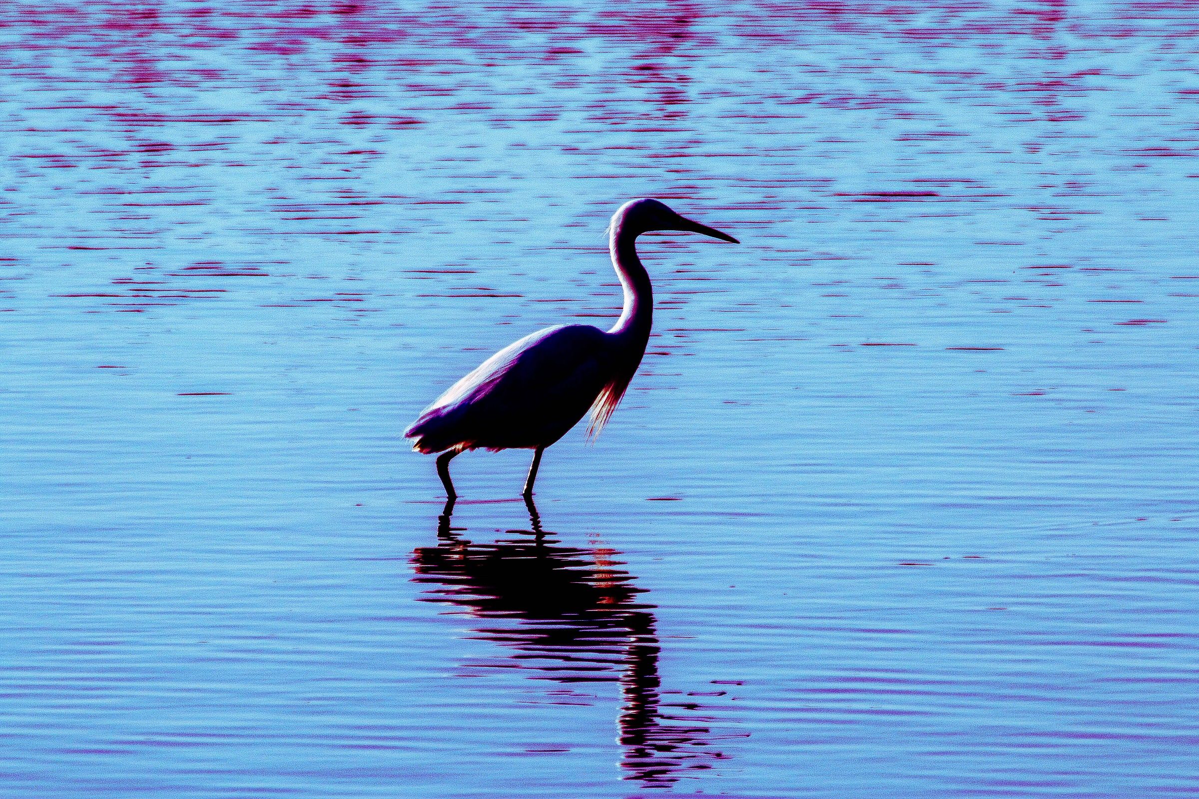 Il Fiume Po E Il Suo Delta 03