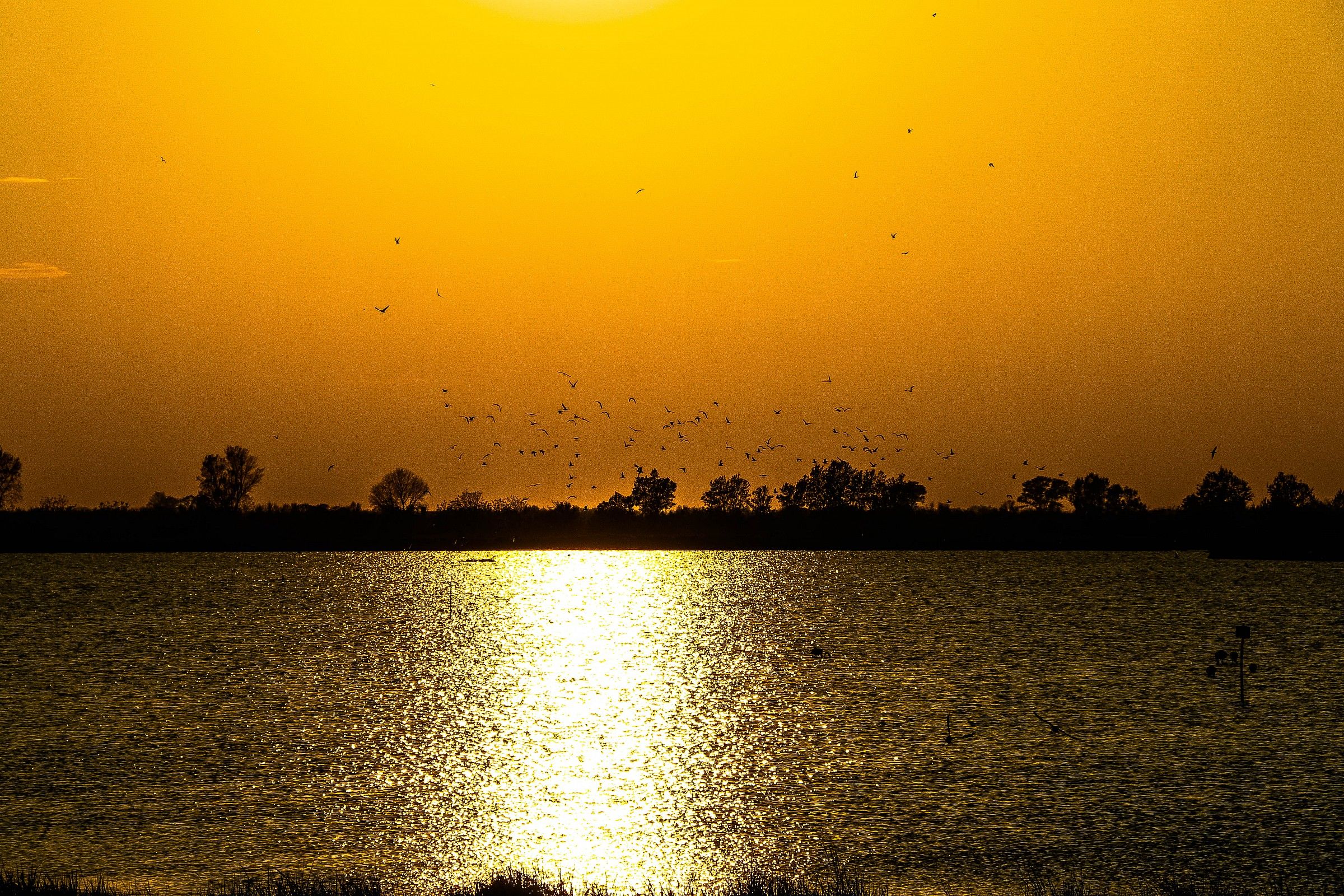 Il Fiume Po E Il Suo Delta 03